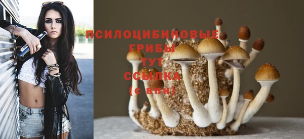 ALPHA PVP Абдулино