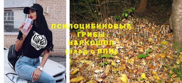 ГАЛЛЮЦИНОГЕННЫЕ ГРИБЫ Абинск