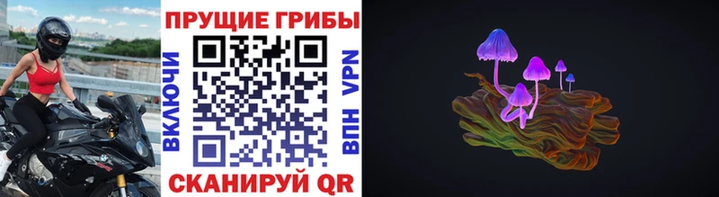где купить наркоту  Таганрог  Псилоцибиновые грибы Cubensis 