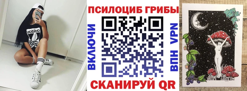 Галлюциногенные грибы Psilocybe Таганрог